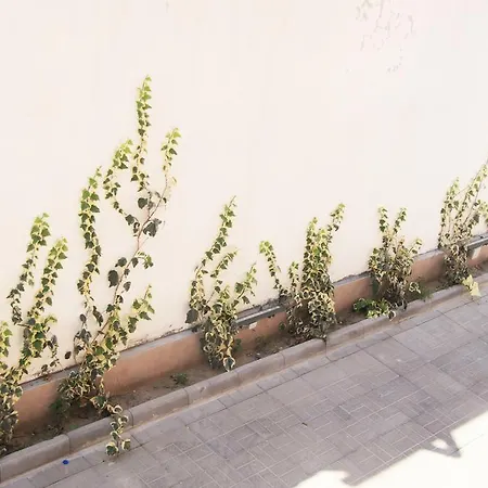 Apartamento Gregs